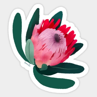 Protea Flower Sticker